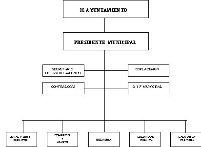 municipio - org21148