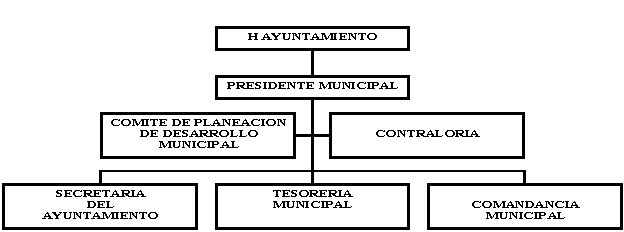 municipio - org21149