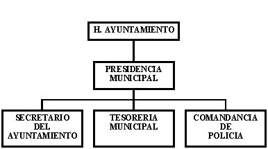 municipio - org21162
