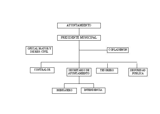 municipio - org21165