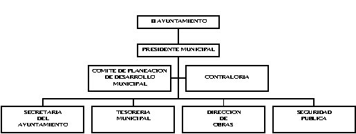 municipio - org21177