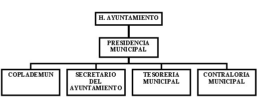 municipio - org21184