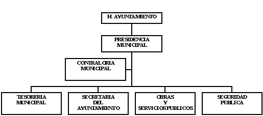 municipio - org21187
