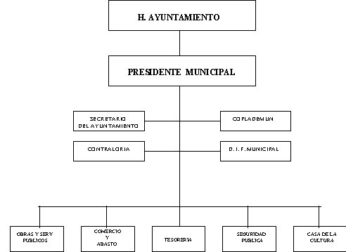 municipio - org21189