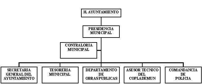 municipio - org21194