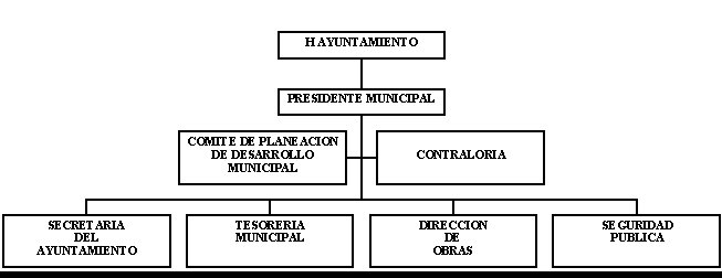 municipio - org21195