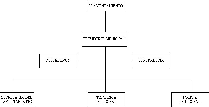 municipio - org21200