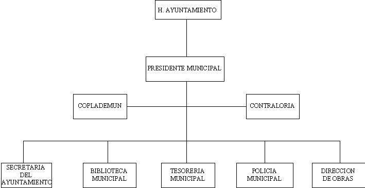 municipio - org21202