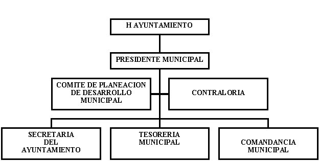 municipio - org21203