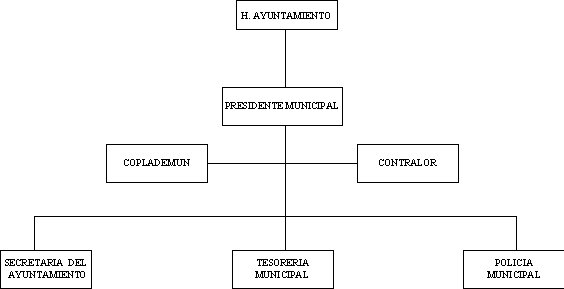 municipio - org21204