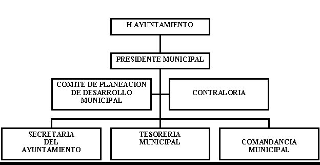 municipio - org21205
