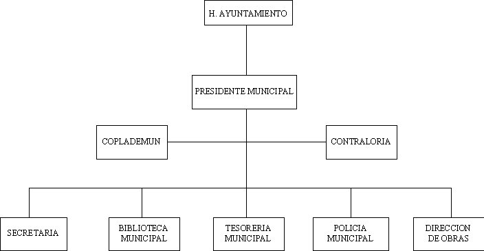 municipio - org21210
