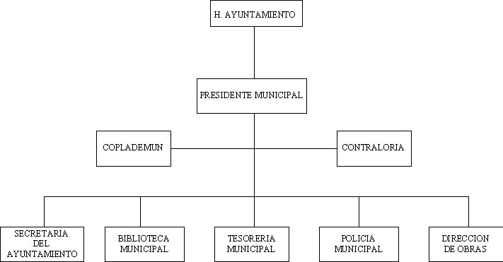 municipio - org21216