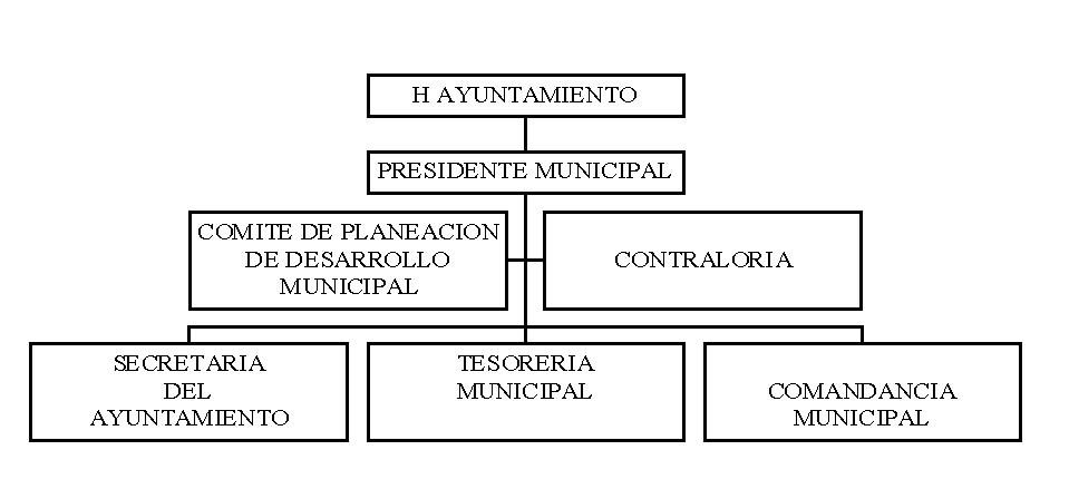 municipio - org21217