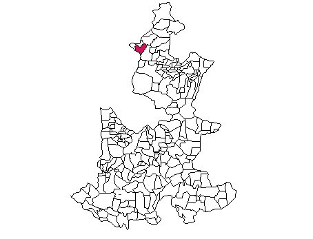 municipio - 100
