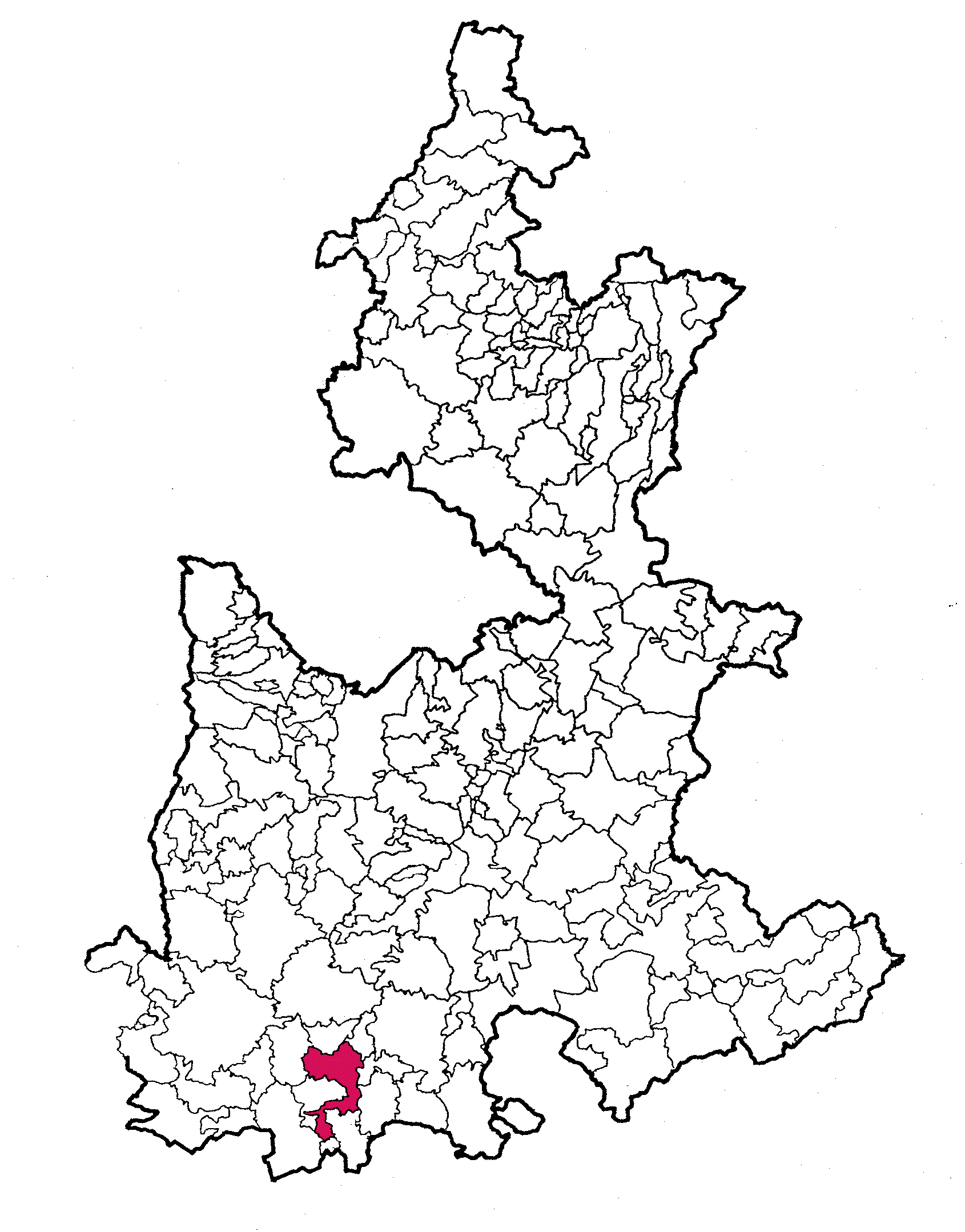municipio - 113