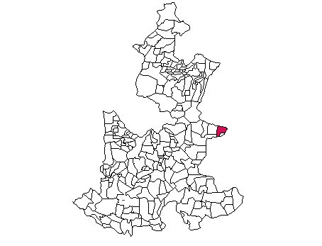 municipio - 116