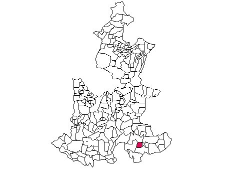 municipio - 124