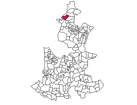 municipio - 178