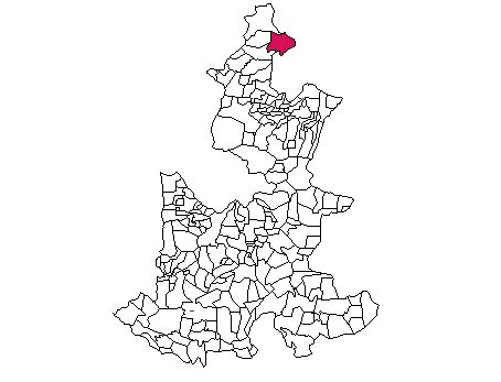 municipio - 194