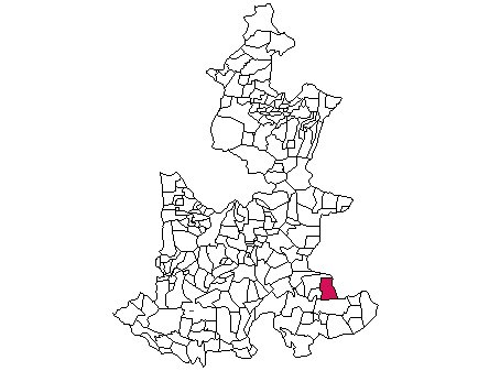 municipio - 195