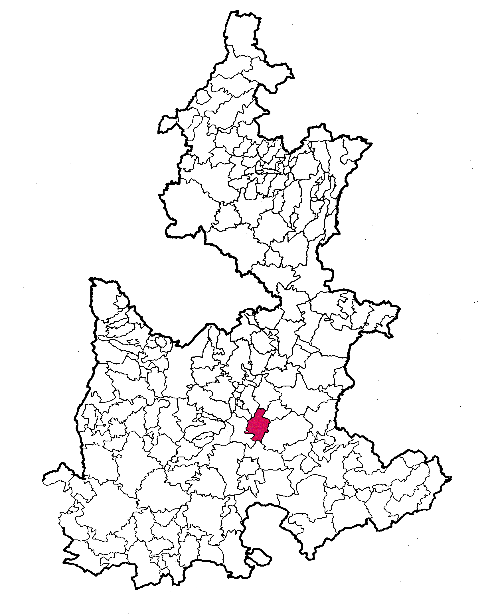 municipio - 203